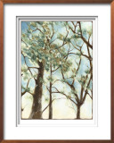 Shenandoah Sunrise II