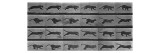 Album sur la décomposition du mouvement:Animal Locomotion: chat