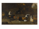 Combat de coqs