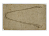 album : couverture