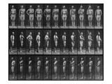 Album sur la décomposition du mouvement : Animal Locomotion : homme au fusil