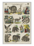 Animaux du jardin des Plantes