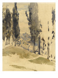 Constantinople vue d'un cimetière