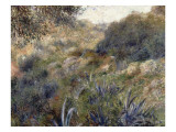 Paysage algérien  le ravin de la Femme Sauvage (faubourg d'Alger)