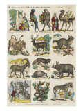 Animaux du jardin des Plantes