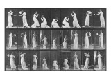 Album sur la décomposition du mouvement:Animal Locomotion: femme versant de l'eau
