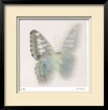 Butterfly Study 6