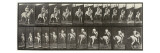Album sur la décompostion du mouvement : 