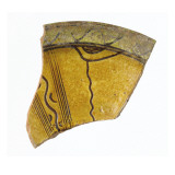 Fragment d'une aile de coupe