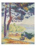 Après-midi à Pardigon (Var)