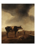 Vaches  moutons et berger