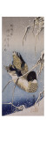 Canard et roseaux sous la neige