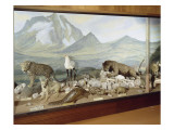 Diorama du Mont Kenya