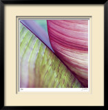Banana Leaves II
