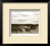Ocracoke Dune Study II