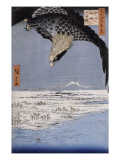 Aigle au-dessus des champs de Susaki à Fukagawa