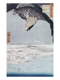 Aigle au-dessus des champs de Susaki à Fukagawa