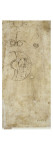 Croquis décoratifs