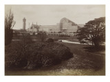 Crystal Palace: the Palace Saw the Pit Rhododendron