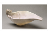 Cuiller à fard en coquille orné d'une tête d'hippopotame