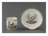 Tasse et soucoupe à café : décor d'oiseaux