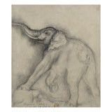 Eléphant sur le vif
