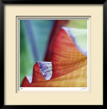 Banana Leaves III