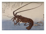 Langouste