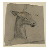 Tête de biche