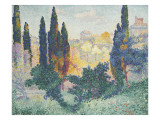 Les cyprès à Cagnes