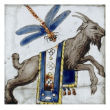 Bouc et libellule