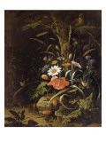 Fleurs  oiseaux  insectes et reptiles