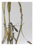 Floor Lamp Up Decorated with Reeds and Dragonflies
