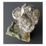 Fragment : lézard sur rocaille