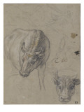 Quatre boeufs  un mouton