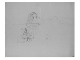 Fleur et croquis d'une maison dan les arbres