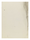 Fragment (jambe de cheval )