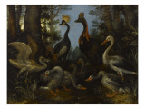 Oiseaux