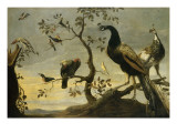 Oiseaux sur des branches
