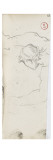Carnet