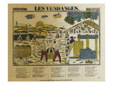 Les vendanges