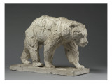 Ours brun