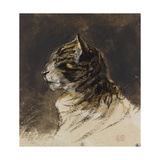T de chat ; vers 1824-1829