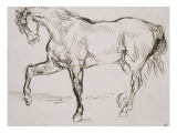Cheval marchant vers la gauche