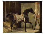 Cheval noir sortant de l'écurie