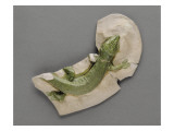 Fragment d'architecture :plaque zoomorphe oblongue ornée d'un lézard vert en haut relief