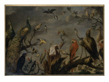 Oiseaux chantant avec une partition ou concert d'oiseaux