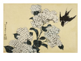 Hortensia et hirondelle