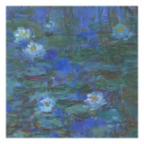 Nymphéas bleus