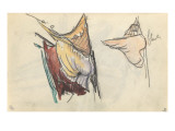 carnet : feuille d'étude  voile